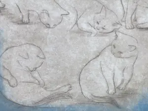 Christel Selmouni - Katten - Kleurets kopen? Bied vanaf 75!