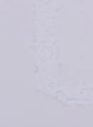 Corneille - Litho, Femme et oiseau kopen? Bied vanaf 1!