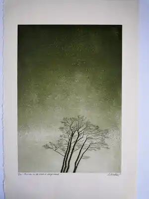 Abraham Lüttger - Bomen in de groene dageraad verkauft für € 81!