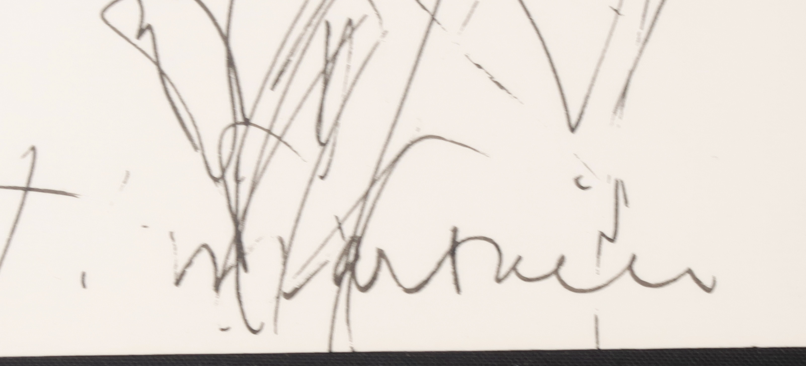 Anton Martineau - Pentekening + overzichtscatalogus in linnen cassette, Zonder titel kopen? Bied vanaf 80!