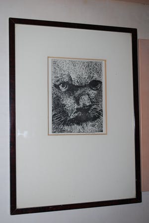 Jose van Gool - 2 katten - 2 etsen kopen? Bied vanaf 35!