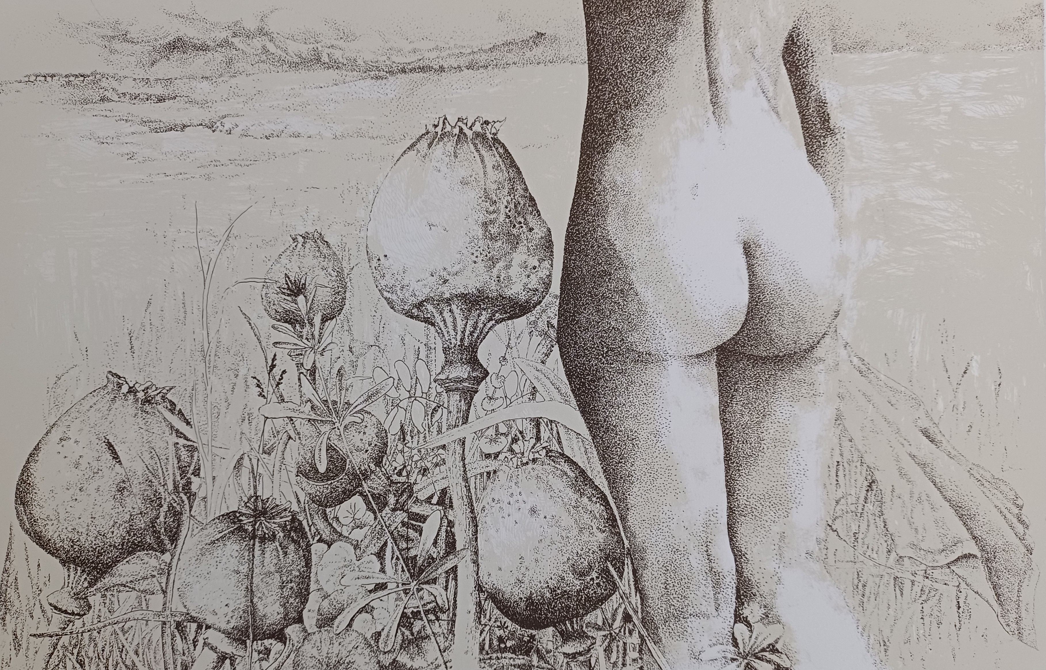 Clary Mastenbroek - tussen de slaapbollen - gesigneerde litho kaufen? Bieten Sie von 79!
