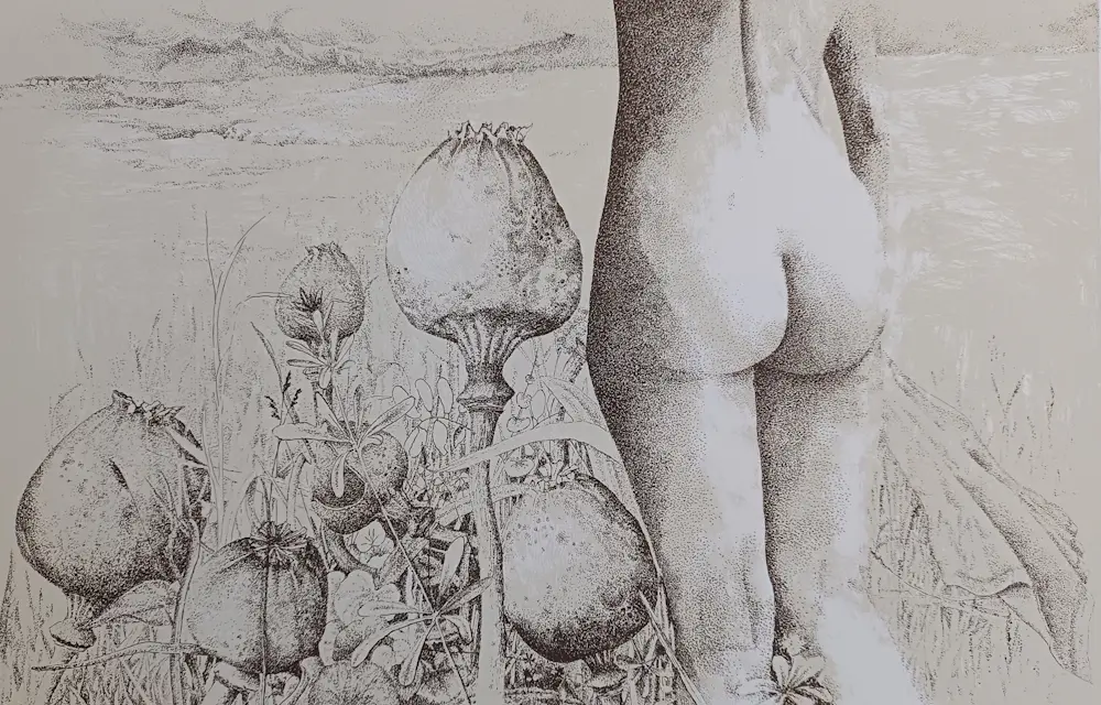 Clary Mastenbroek (1947)