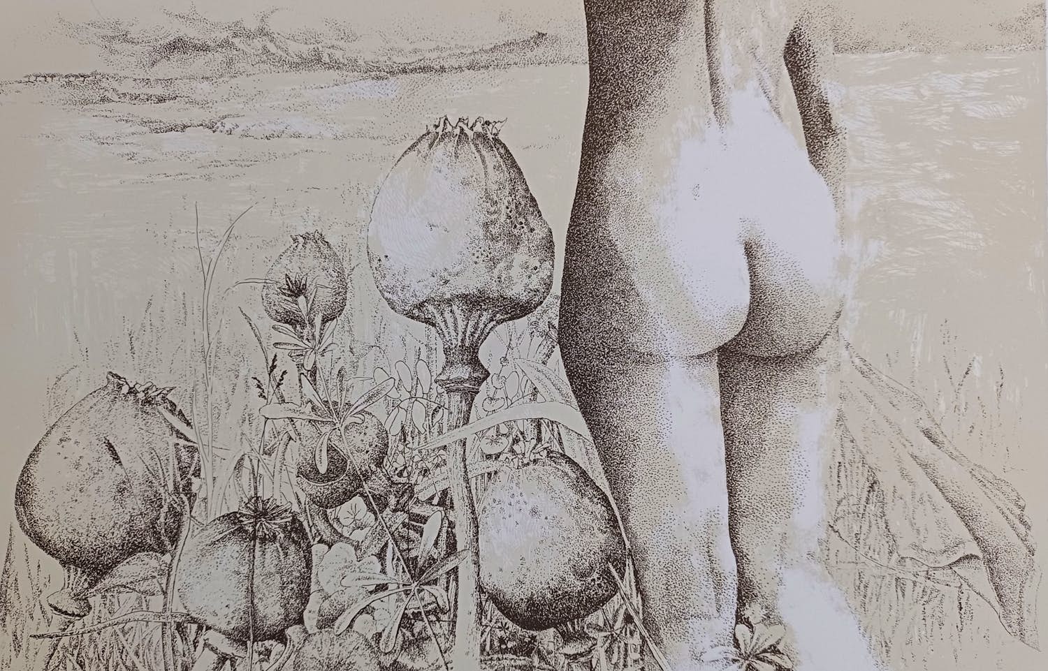 AcheterClary Mastenbroek - tussen de slaapbollen - gesigneerde litho? Enchérissez de 79!