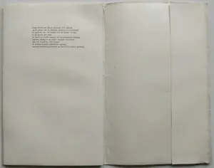 Ivo Damme - 12 houtsneden Ontluistering Marcel Leemans kopen? Bied vanaf 20!