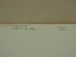 Ron van der Werf - Terra I kopen? Bied vanaf 50!
