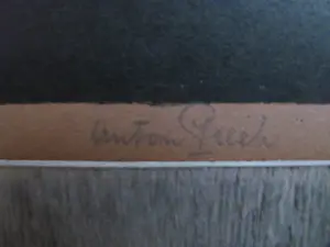 Anton Pieck - Passiebloemen kopen? Bied vanaf 75!