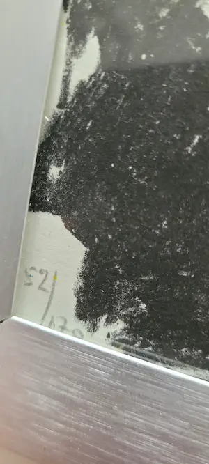 Kees Salentijn - Z.t. hoofd kopen? Bied vanaf 15!