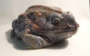 Nel Donkers - Dit is een pad. kopen? Bied vanaf 60!