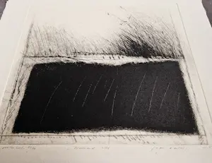 Ko Oosterkerk - een fraaie droge naald Ets "wuivend riet" beperkte oplage (84) kopen? Bied vanaf 45!