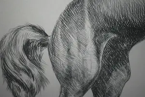 Marcello Cassinari Vettor - Cavallo - steigerend paard - grote litho, oplage 53/150 kopen? Bied vanaf 60!