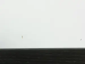 Jaco Putker - Zeefdruk, Op de schouders van giganten III - Ingelijst kopen? Bied vanaf 1!