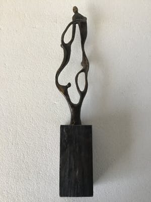 Corry Ammerlaan - Toekomst door Samenwerken kopen? Bied vanaf 35!