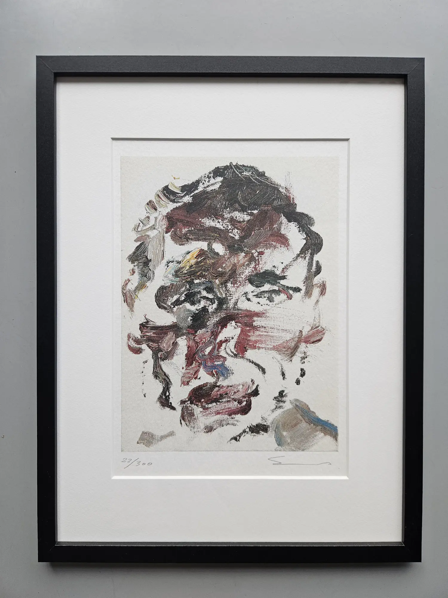 Sam Dillemans (1965)