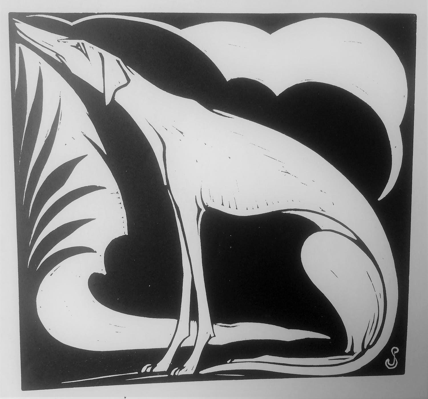 Jan Schonk - Houtsnede Windhond 1927 verkocht voor € 40!