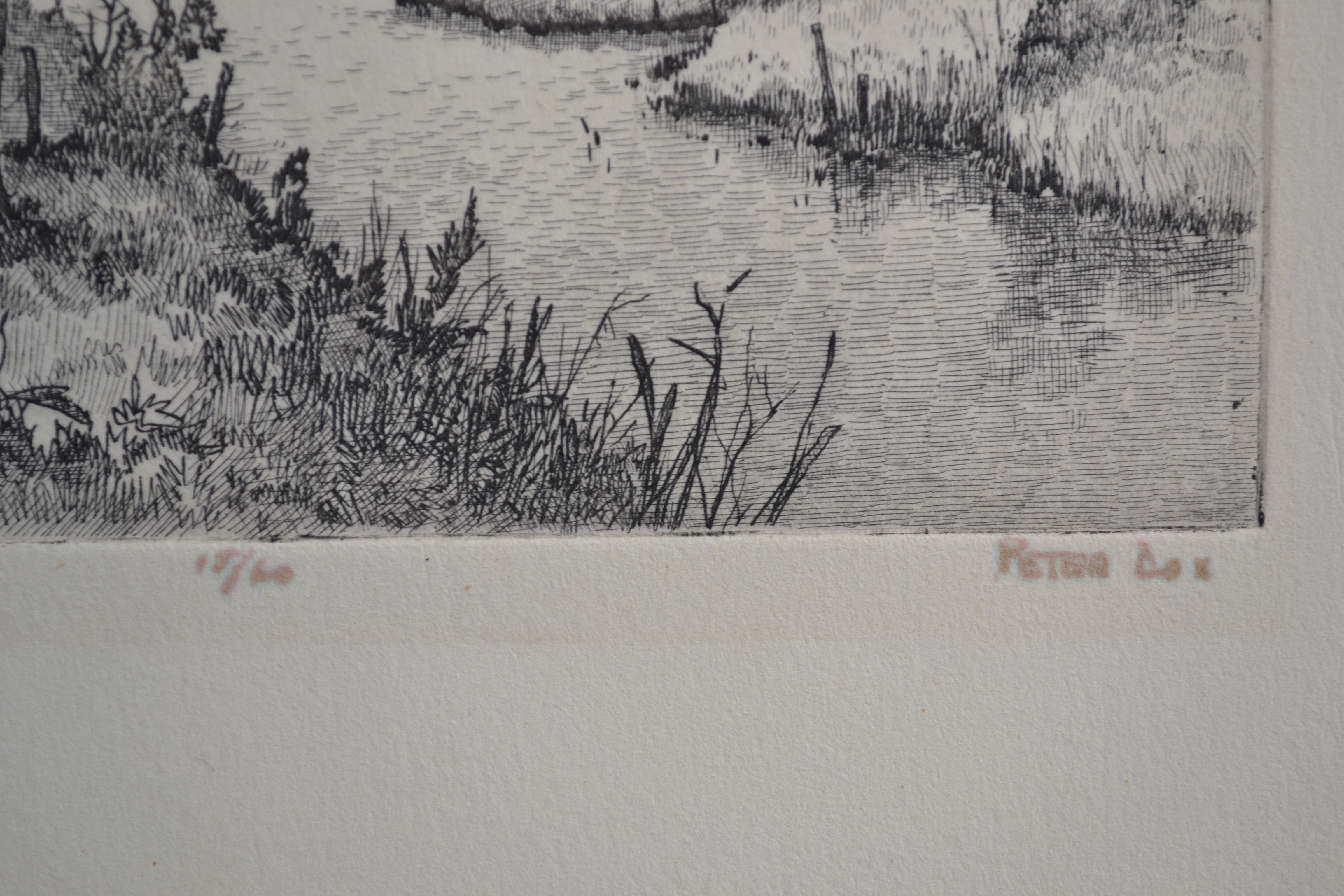 Peter Cox - Ets - In de polder - Gesigneerd - oplage 15/60 kopen? Bied vanaf 20!