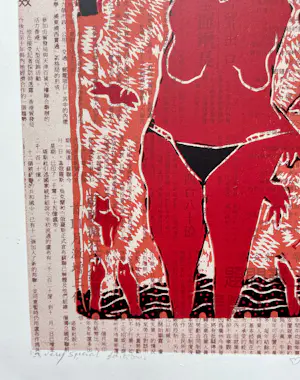 Dominique Chan - A very special edition kopen? Bied vanaf 28!