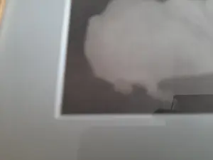 Jan Mankes - Heliogravure " Twee konijnen " kopen? Bied vanaf 120!