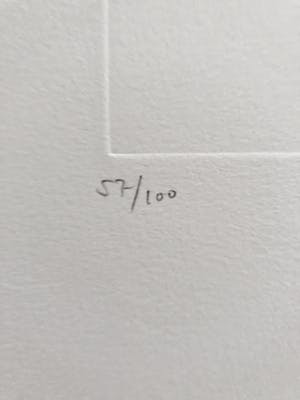 Leonor Fini - La Sorcière sur le Balai kopen? Bied vanaf 60!