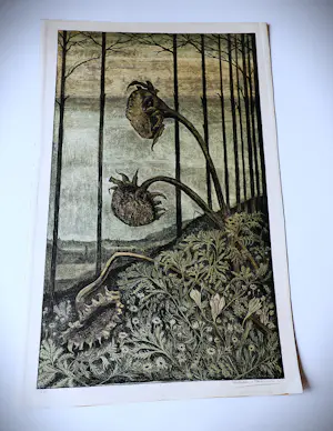 Herman Bernard Dieperink Jzn - fraai gedetailleerde kleuren - litho - Zonnebloemen - bep. oplage (70) kopen? Bied vanaf 35!