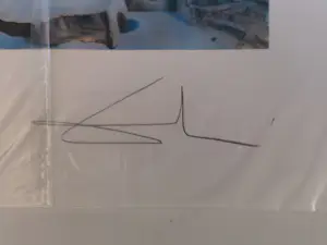 Salvador Dali - Vlucht van een Bij kopen? Bied vanaf 300!