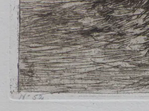 Willem de Zwart - Boerderij in Dekkersduin - Ets kopen? Bied vanaf 45!