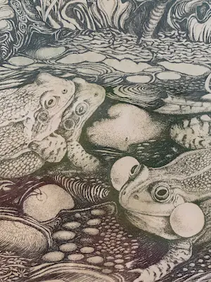 Achilles Cools - Liefde in een kikkergreep kopen? Bied vanaf 50!