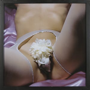 Cornelie Tollens - C-Print, L'amour est classique - Ingelijst kopen? Bied vanaf 1!