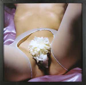 Cornelie Tollens - C-Print, L'amour est classique - Ingelijst verkocht voor € 1!