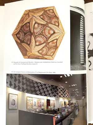 Maurits Cornelis Escher - Der Zauberspiegel des M.C. Escher kopen? Bied vanaf 20!