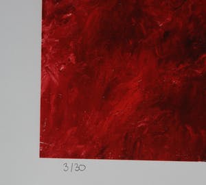 Armando - giclee: Die Bäume - 2014 (oplage 30 stuks) kopen? Bied vanaf 159!