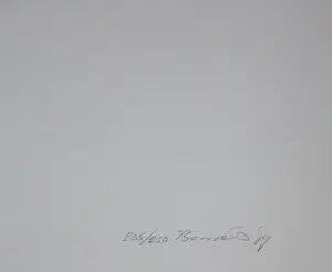 Bob Bonies - Zeefdruk in samenwerking met Frans Molenaar - 1989 kopen? Bied vanaf 100!