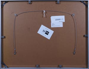 Niet of onleesbaar gesigneerd - Litho, Vis Vijver - Ingelijst kopen? Bied vanaf 1!