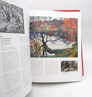 Maurice de Vlaminck - Catalogue critique des peintures et céramiques de la période fauve kopen? Bied vanaf 90!