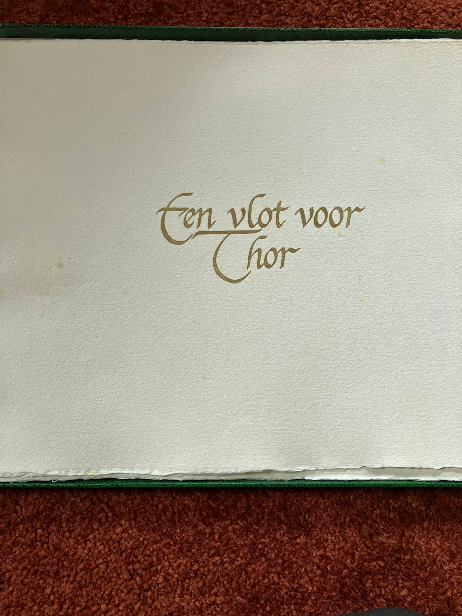 Ad Snelders - Een vlot voor Thor kopen? Bied vanaf 35!