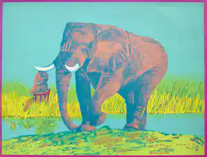 AcheterAntonio Segui - Olifant, litho? Enchérissez de 40!