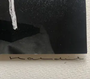 Herman Hahndiek - Bokspringers Rien Goené kopen? Bied vanaf 60!