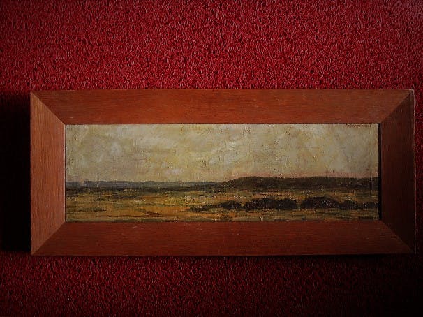 Niet of onleesbaar gesigneerd - Fraai impressionistisch zg. panorama olieverf "Duinlandschap" gesigneerd  kopen? Bied vanaf 1!