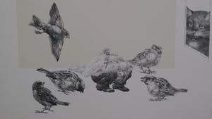 Peter Vos - oude man tussen mussen kopen? Bied vanaf 75!