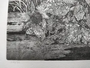 Fred Couprie - 1976 - Zonder titel kopen? Bied vanaf 30!