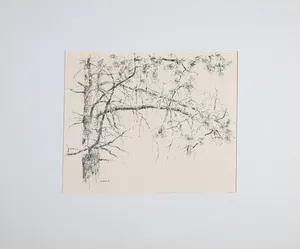 Ery Brusse - Pentekening, Boom kopen? Bied vanaf 1!