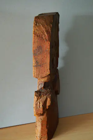 Sjef Kreutzer - Vrouw. kopen? Bied vanaf 80!