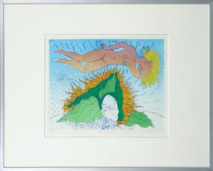 Herman van Valen - Kleurenets, Zonnebloemen - Ingelijst kopen? Bied vanaf 1!