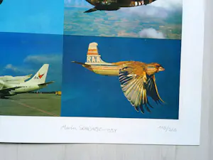 Martin Schwarz - "Vogelflieger" 1997 - Lithographie - Auflage von 350 - signiert - (70 x 50 cm) kopen? Bied vanaf 80!
