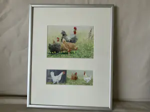 Wiebe A van der Zee - Heerlijke scharrelen en Are you chicken, Kraamvisite en Nieuwe Buren kopen? Bied vanaf 50!