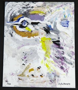 Nico Molenkamp - Zeefdruk, Vogel kopen? Bied vanaf 1!