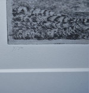 Charles Donker - Handgedrukte ets, oplage 50 - - Bos XVII - definitieve, 4e staat - 1999 kopen? Bied vanaf 350!