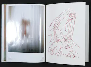 Marlene Dumas - Nobuyoshi Araki, Tracy Emin e.a. - Visionaire 46 UNCENSORED by Mario Testino kopen? Bied vanaf 250!