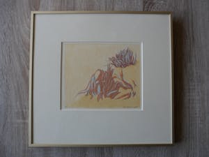 Jan Hein van Rooy - Litho, Plant Agave kopen? Bied vanaf 25!