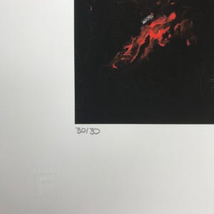 Armando - 'Rode bloem' - Kleurrijke Giclée - 30/30 - 2017 kopen? Bied vanaf 55!